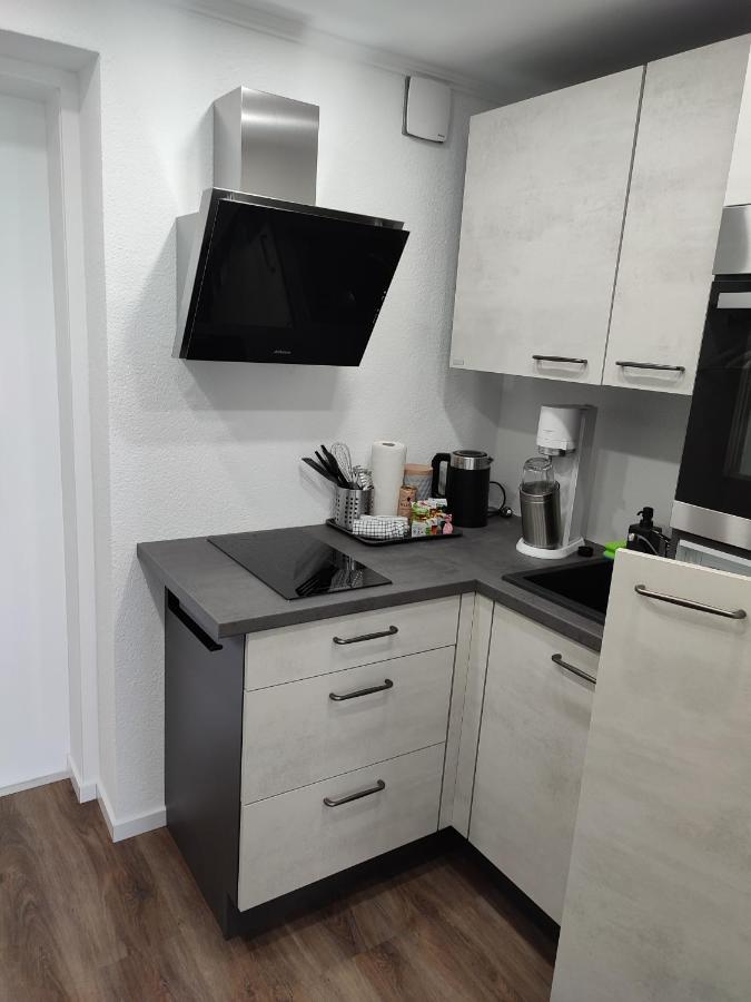 Апартаменти Gemuetliches Studio Mit Ausblick, Pool Und Wifi Баїрсбронн Екстер'єр фото